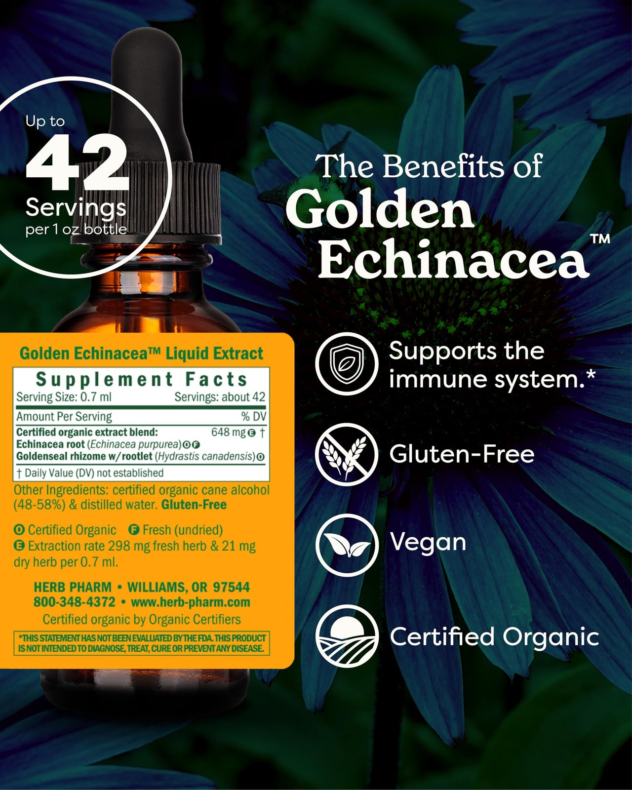 Herb Pharm Certified Organic Golden Echinacea Liquid Extract for Immune System Support - 1 Ounce (DGOLDEN01)
