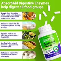 Thumbnail for Nature's Sources AbsorbAid Digestive Support - 90 Vcaps