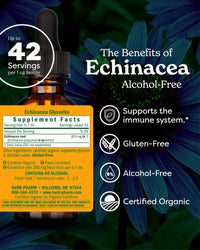 Thumbnail for Herb Pharm Organic Echinacea Root Extract, Alcohol-Free: Immune System Support for All Seasons, Fast-Acting Echinacea Plant Supplement, Non-GMO, Vegan & Gluten-Free, 1 Oz