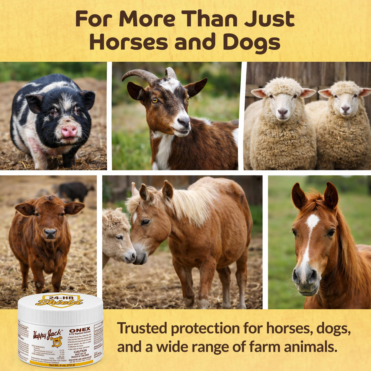 Happy Jack Onex Fly Repellent Ointment for Dogs & Horses, Targeted Wound Dressing that Repels & Kills Flies on Contact, Helps Protect Open Sores, USA, 4 oz Jar