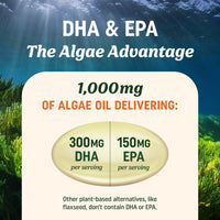 Thumbnail for Vegan Omega 3 Algae Oil | Plant Based DHA EPA | Sustainably Sourced, No Carrageenan, Non GMO | Heart, Brain, and Eye Health | Fish Oil Alternative | Algae Omega 3 Supplement | 60 Softgel Capsules