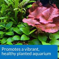 Thumbnail for API Co2 Booster Freshwater Aquarium Plant Treatment 16 oz Bottle, Brown