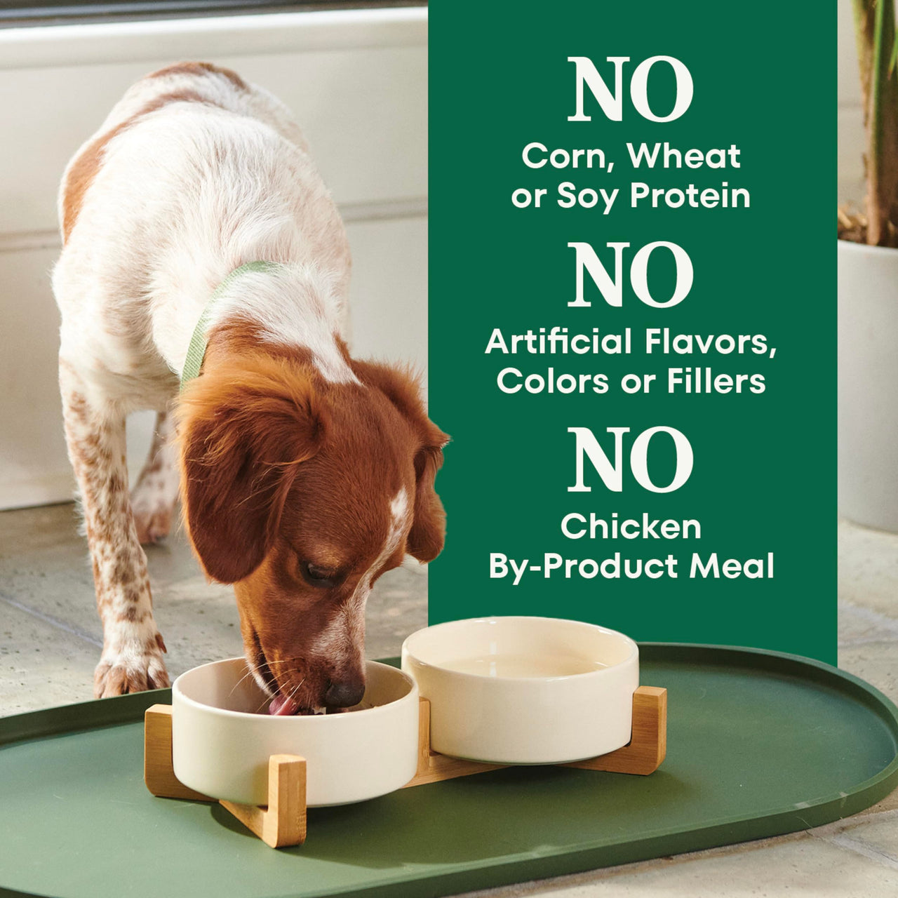 Nutro Natural Choice Small Breed Dry Dog Food, Adult Dog Food Dry Chicken and Brown Rice, 5 lbs.