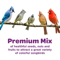 Thumbnail for Kaytee Nut & Fruit Wild Bird Seed, 5 lb
