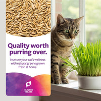 Thumbnail for SmartyKat Sweet Greens Organic Oat Grass All-in-One Cat Grass Grow Kit, Easy-to-Grow to Support Digestion & Hairball Reduction