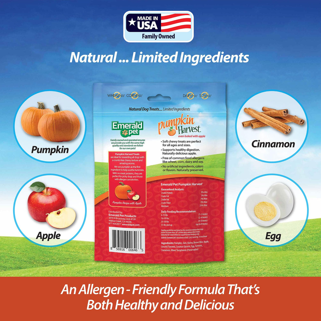 Emerald Pet Pumpkin Harvest Dog Treats — Low-Fat Chewy Natural Treats with Pumpkin for Digestive Health — Meat Free, Poultry Free, Wheat Free — Apple, 6 oz