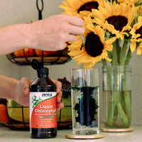 Thumbnail for NOW Foods Supplements, Liquid Chlorophyll, Super Concentrated, Internal Deodorizer*,Boost Energy, Mint Flavor, 16-Ounce