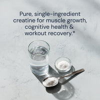 Thumbnail for Blueprint Bryan Johnson Creatine Monohydrate Powder – Amino Acid Powder - Supplement Supports Muscle Growth, Recovery, Strength & Focus – Unflavored Creatine for Women & Men – 5g Dose – 100 Servings
