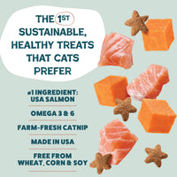 Thumbnail for Shameless Pets Crunchy Cat Treats - Kitty Treats for Cats with Skin & Coat Support, Natural Ingredients Kitten Treats with Real Salmon, Healthy Flavored Feline Snacks - Yam Good Salmon, 1-Pk