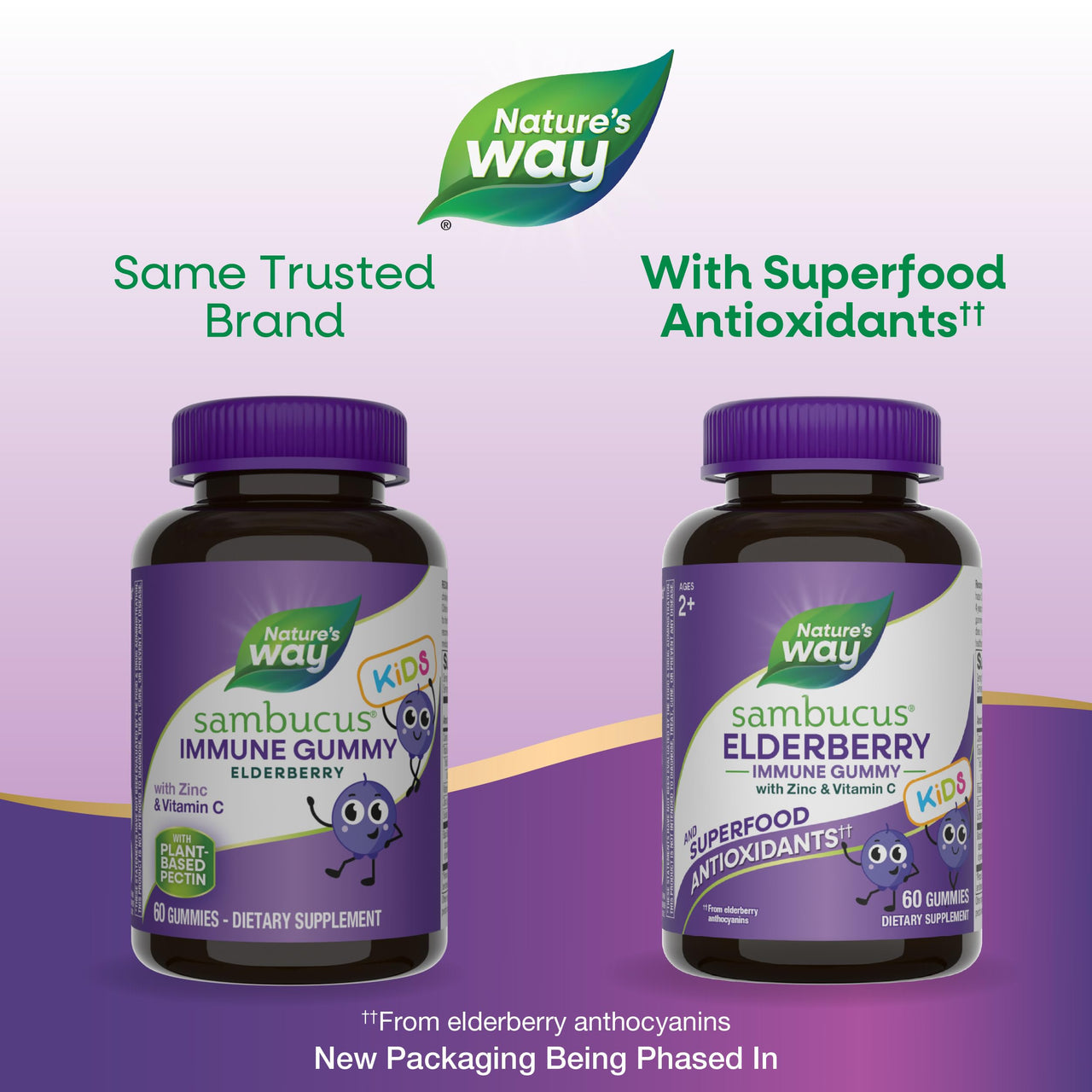 Nature’s Way Sambucus Kids Elderberry Immune Gummies with Black Elderberry Extract, Daily Immune Support Gummy with Vitamin C and Zinc for Children Ages 2+*, 60 Gummies