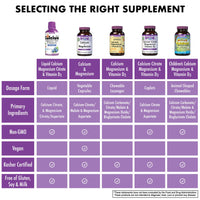Thumbnail for Bluebonnet Nutrition Liquid Calcium Citrate Magnesium Citrate, Vitamin D3, Bone Health, Gluten Free, Soy free, milk free, kosher,32 Servings, Blueberry Flavor, 16 Fl Oz (Pack of 1)