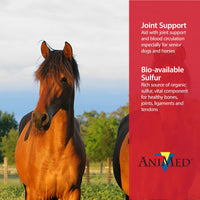 Thumbnail for AniMed Pure MSM Supplement for Horses, 1-Pound…