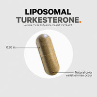 Thumbnail for Codeage Turkesterone Supplement, 4-Month Supply, Hydroxypropyl-β-Cyclodextrin, Liposomal Delivery, Sports, Pre & Post-Workouts, Ajuga Turkestanica, Vegan, Gluten-Free, Non-GMO - 120 Capsules