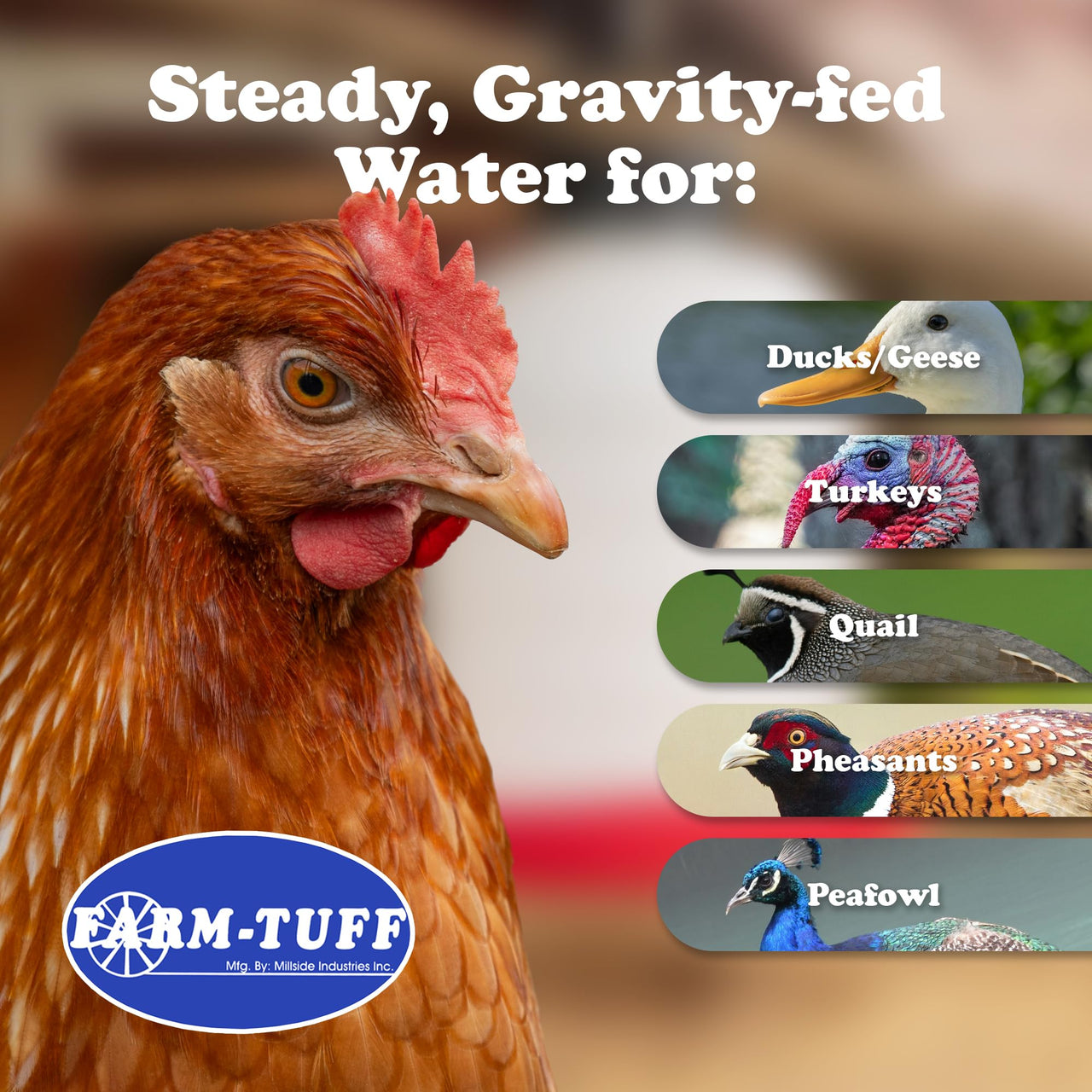 FARM-TUFF Hanging Chicken Waterer, 5 Gallon Capacity - Plastic Poultry Fountain with Top Fill Design - Automatic Water Dispenser for Chickens, Ducks, Turkeys & Game Birds
