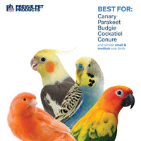 Thumbnail for Prevue Hendryx Sound & Movement Birdie Basics Lantern Mirror Bird Toy 60420