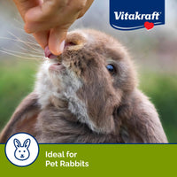 Thumbnail for Vitakraft Drops Rabbit Treats with Wildberry Flavor – 5.3 oz Delicious Yogurt-Based Snacks for Rabbits, Guinea pigs, Hamsters, Gerbils, Mice, Rats, Chinchillas, and other Small Animals.