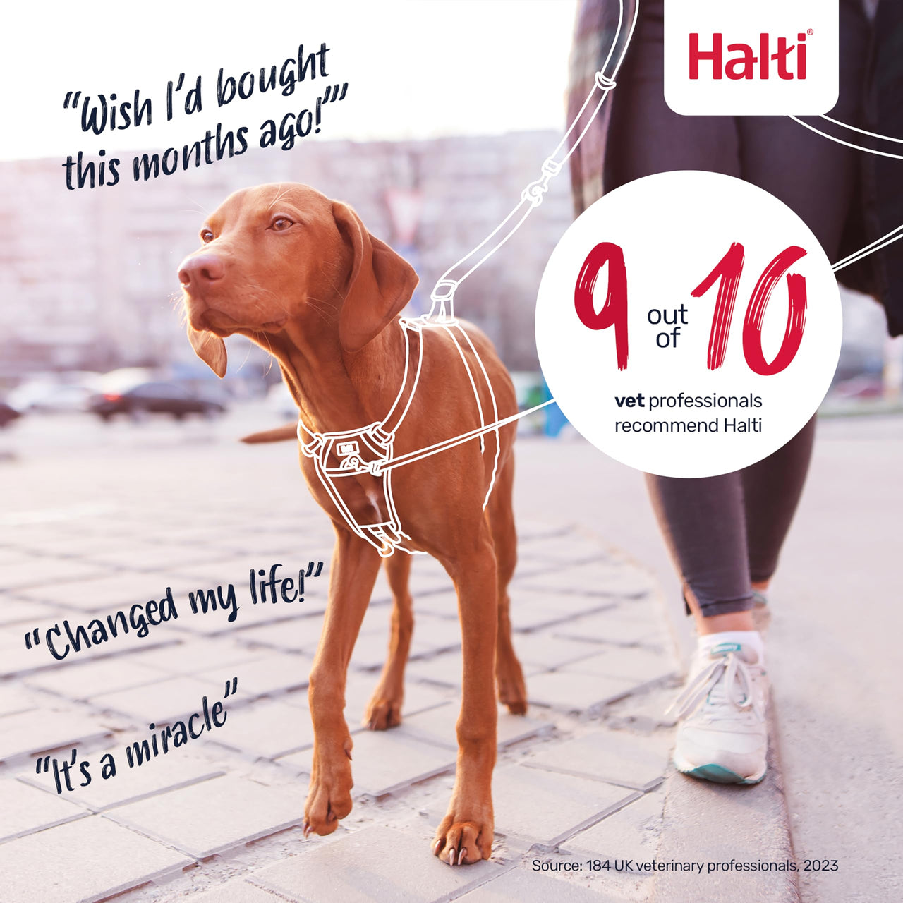 Halti No Pull Harness - Stop Your Dog Pulling on the Leash. Adjustable, Lightweight and Easy to Use. Reflective Dog Training Harness for Medium Dogs (Size M, Black)