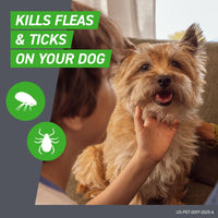 Thumbnail for Frontline Plus for Dogs Large Dog (45 to 88 pounds) Flea and Tick Treatment, 6 Doses