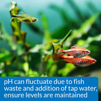 Thumbnail for API PH TEST KIT 250-Test Freshwater Aquarium Water pH Test Kit, 4 Piece Set