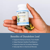 Thumbnail for Eclectic Herb - Raw Freeze-Dried Dandelion Leaf Capsules | Supports Cleansing, Digestive Function & Heart Health | Natural Herbal Supplement | Organic, Non-GMO, Vegan, Whole Herb (90 CT | 200 mg)