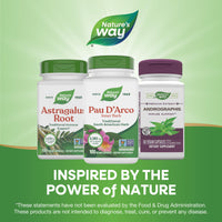Thumbnail for Nature's Way PAU d'Arco Inner Bark, Traditional South American Herb, 2,180 mg per 4-Capsule Serving, Non-GMO Project Verified, 100 Capsules (Packaging May Vary)