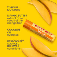 Thumbnail for Burt's Bees Lip Balm - Pink Grapefruit, Mango, Coconut & Pear, and Pomegranate Pack, Lip Moisturizer With Beeswax, Tint-Free, Natural Origin Conditioning Treatment, 4 Tubes, 0.15 oz.