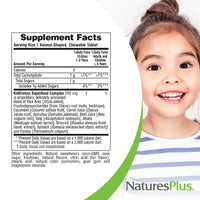 Thumbnail for NaturesPlus Animal Parade KidGreenz, Tropical Fruit Flavor - 90 Animal-Shaped, Chewable Tablets - Vegetarian, Gluten Free - 90 Servings