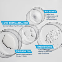 Thumbnail for CeraVe Hydrating Anti Dandruff Shampoo, 1% Pyrithione Zinc Dandruff Treatment With Ceramides, Niacinamide & Hyaluronic Acid, Helps Eliminate Flakes & Provides Itchy Scalp Relief, Sulfate Free, 12 Oz