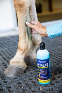Thumbnail for Vetericyn Mobility Equine Liniment for Fast-Acting Relief of Muscles and Joints – Menthol-Based Topical Analgesic for Horses – 16 Ounces