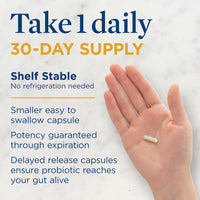 Thumbnail for Renew Life Men's Care Probiotic Capsules, Supports Mens Digestive, Colon, Immune and Respiratory Health, L. Rhamnosus GG, Dairy, Soy and gluten-free, 90 Billion CFU, 30 Count
