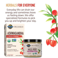 Thumbnail for Garden of Life Organic Ashwagandha Supplement with Probiotics & Ginger - Stress, Mood & Energy Support, Vegan, Gluten Free, Non GMO, 2 Month Supply, 60 Tablets