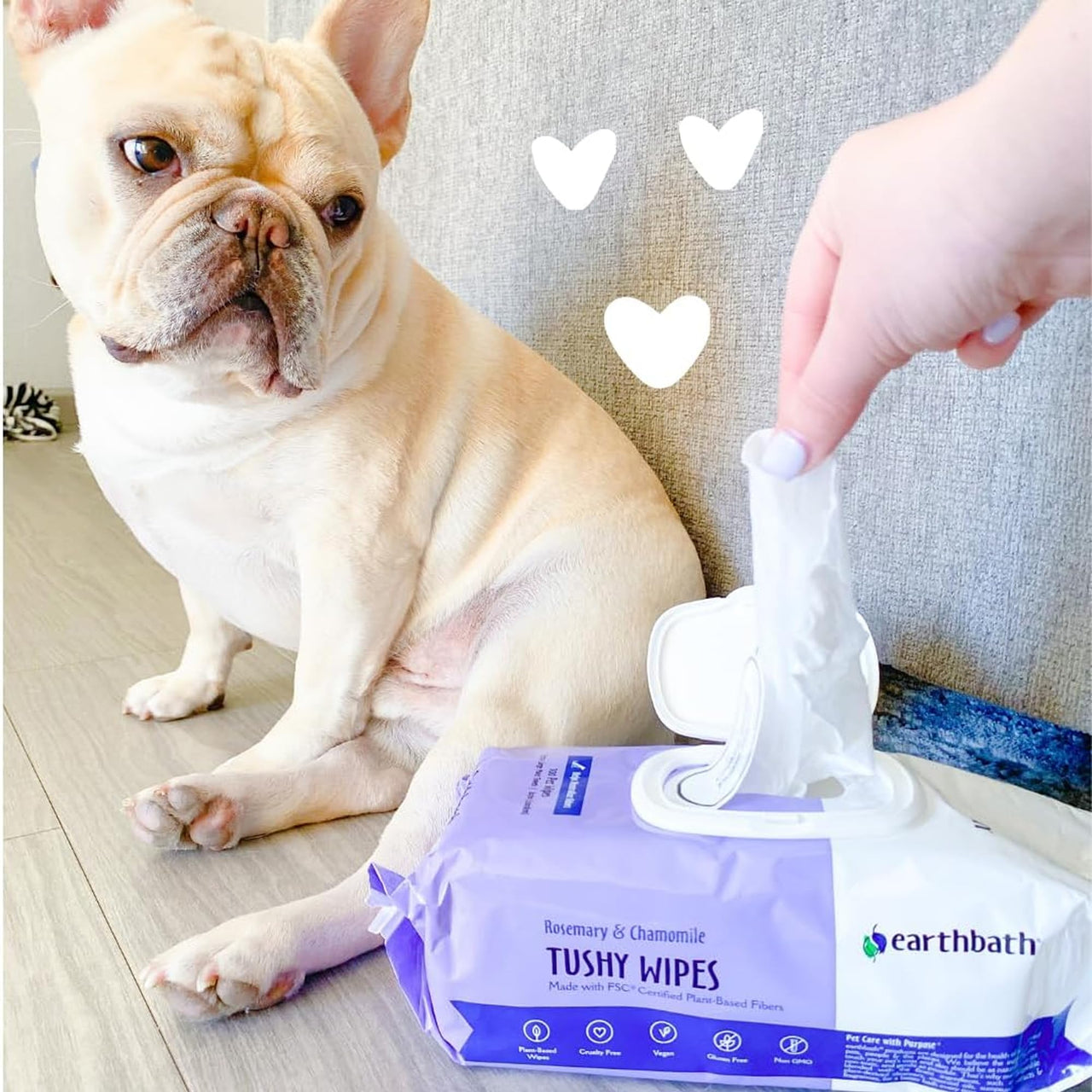 earthbath, Rosemary & Chamomile Tushy Wipes - Dog Wipes for Paws and Butt, Pet Wipes for Dogs & Cats, Made in USA, Cruelty-Free Dog Cleaning Wipes, Helps Neutralize Odors - 100 Count (1 Pack)