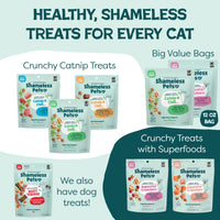 Thumbnail for Shameless Pets Crunchy Cat Treats - Kitty Treats for Cats with Skin & Coat Support, Natural Ingredients Kitten Treats with Real Salmon, Healthy Flavored Feline Snacks - Yam Good Salmon, 1-Pk