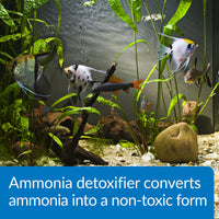 Thumbnail for API AMMO-LOCK Freshwater and Saltwater Aquarium Ammonia Detoxifier 16-Ounce Bottle