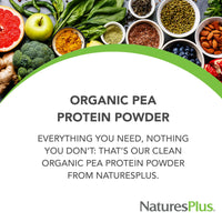 Thumbnail for NaturesPlus Organic Pea Protein - 1.1 lb - Plant-Based Drink Powder - Supports Energy, Recovery & Weight Management - Non-GMO, Sugar Free, Allergen Free, Gluten Free, Vegan - 25 Servings