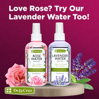 Thumbnail for De La Cruz Pure Rose Water Body Mist,Rosewater Spray for Face, Skin & Hair, Rose Toner & Rose Water for Hair Alcohol Free, Paraben Free 8 fl oz (3 Bottles)
