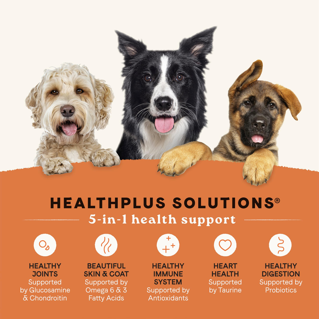 Canidae All Life Stages Real Chicken & Potato Recipe – High Protein and Grain-Free Premium Dry Dog Food for All Ages, Breeds, and Sizes– 4 lbs.