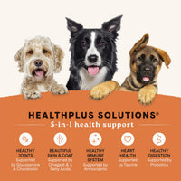 Thumbnail for Canidae All Life Stages Real Chicken & Potato Recipe – High Protein and Grain-Free Premium Dry Dog Food for All Ages, Breeds, and Sizes– 4 lbs.
