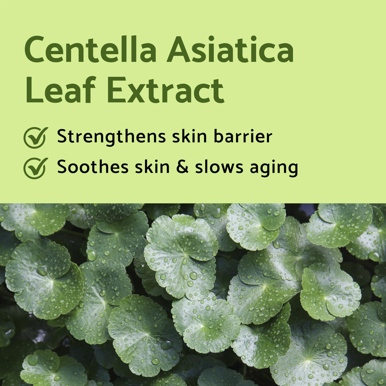 iUNIK Centella Mini Set Travel-Friendly Skincare Set Ultra calming and hydrating for sensitive skin - Tea Tree Relief Toner,Serum, Centella Calming Gel Cream