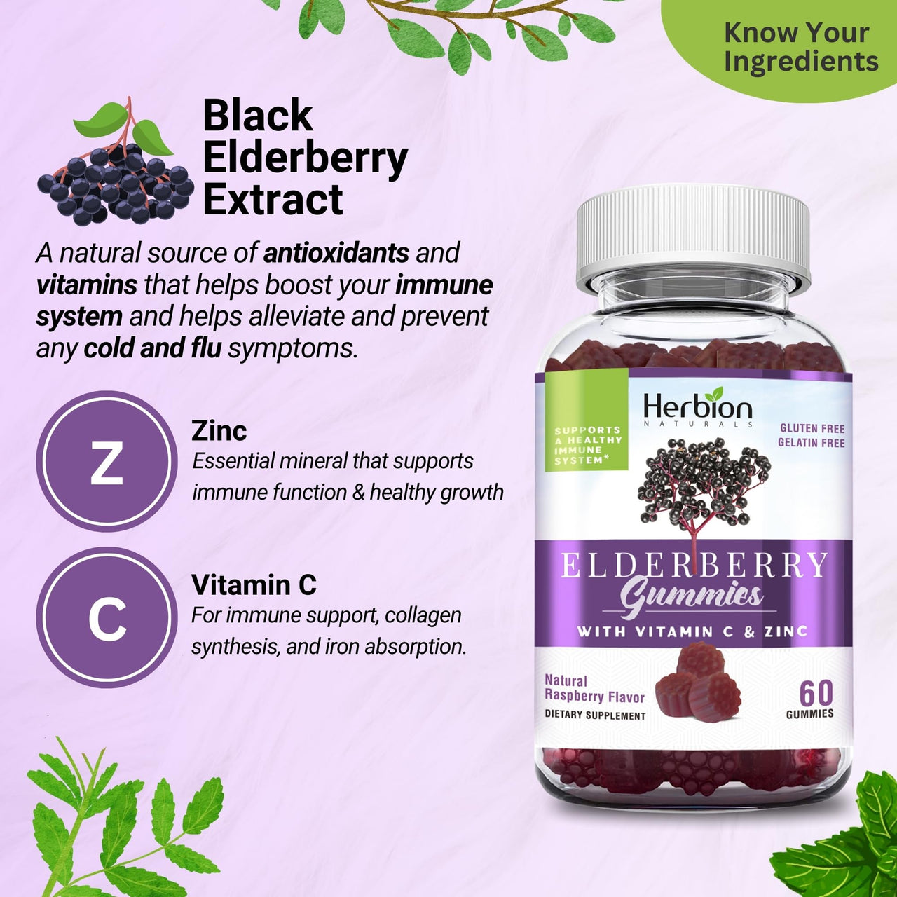 HERBION Elderberry Gummies with Vitamin C & Zinc - Healthy Immune System Support - Gluten-Free & Gelatin-Free - 60 Gummies for Adults & Children 4 Years & Above - Made in USA, 60 Count (Pack of 1)