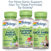 Thumbnail for SOLARAY Garlic Supplement 500mg, Vegan, Odorless Garlic Extract, Traditionally Used for Heart Health and Immune Support, Vegan, Odor Free, Lab Verified, 60 Day Guarantee, 60 Serv, 60 Enteric VegCaps