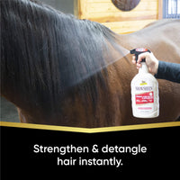 Thumbnail for Absorbine ShowSheen Hair Polish & Detangler 32oz Spray Bottle, Horse and Dog Coat, Mane and Tail, Instant Detangling & Reduces Hair Breakage for Healthy Grooming & Radiant Shine
