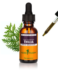 Thumbnail for Herb Pharm Thuja Branchlet Liquid Extract - 1 Ounce (DTHUJA01)