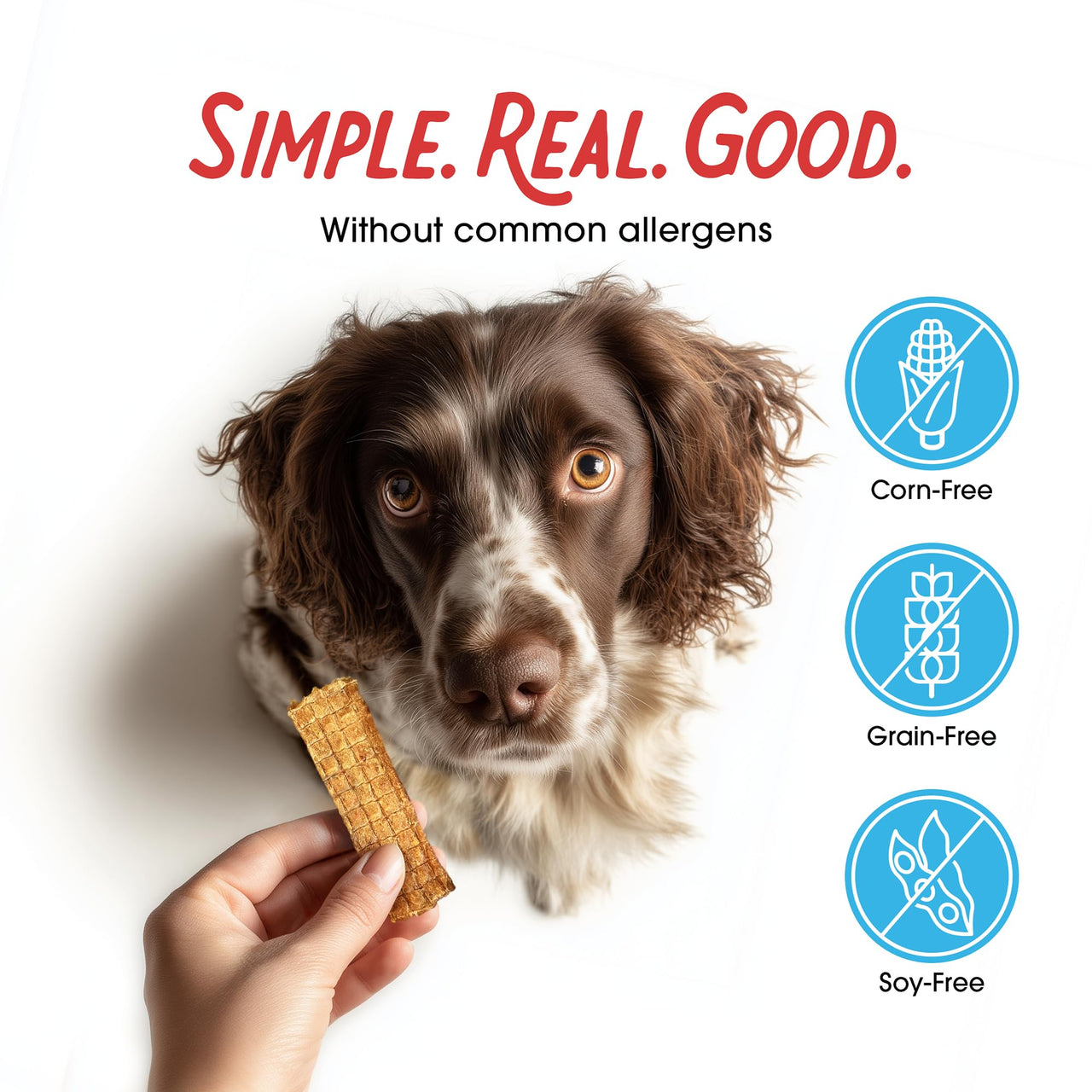 Farmland Traditions Dogs Love Chicken Jerky Dog Treats, Premium Two-Ingredient Dog Jerky with USA-Raised, Human-Grade Chicken & No Antibiotics Ever, 1 Pound (Pack of 1) Bag