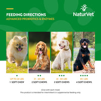 Thumbnail for NaturVet Advanced Probiotics & Enzymes, PB6 Dog Soft Chews to Help Sensitive Stomachs and Digestive Issues, Hickory Smoked Bacon Flavored Pet Supplement for Dogs Over 6 Weeks, 70 Count Jar