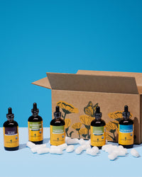 Thumbnail for Herb Pharm Certified Organic Clove Liquid Extract - 4 Ounce