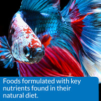 Thumbnail for API BETTA FOOD Fish Food Pellet .78-Ounce Container
