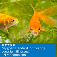 Thumbnail for API PIMAFIX Antifungal Freshwater and Saltwater Fish Remedy 8-Ounce Bottle (10H)