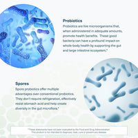 Thumbnail for Youtheory Spore Probiotic Powder - Vegan Gut Health Supplement for Men & Women* - 6 Billion CFU - Dairy, Soy & Gluten Free - 3.45 oz