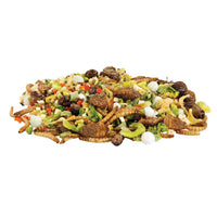 Thumbnail for Zilla Reptile Munchies Omnivore .7 Ounces